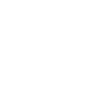 ISS LOGO
